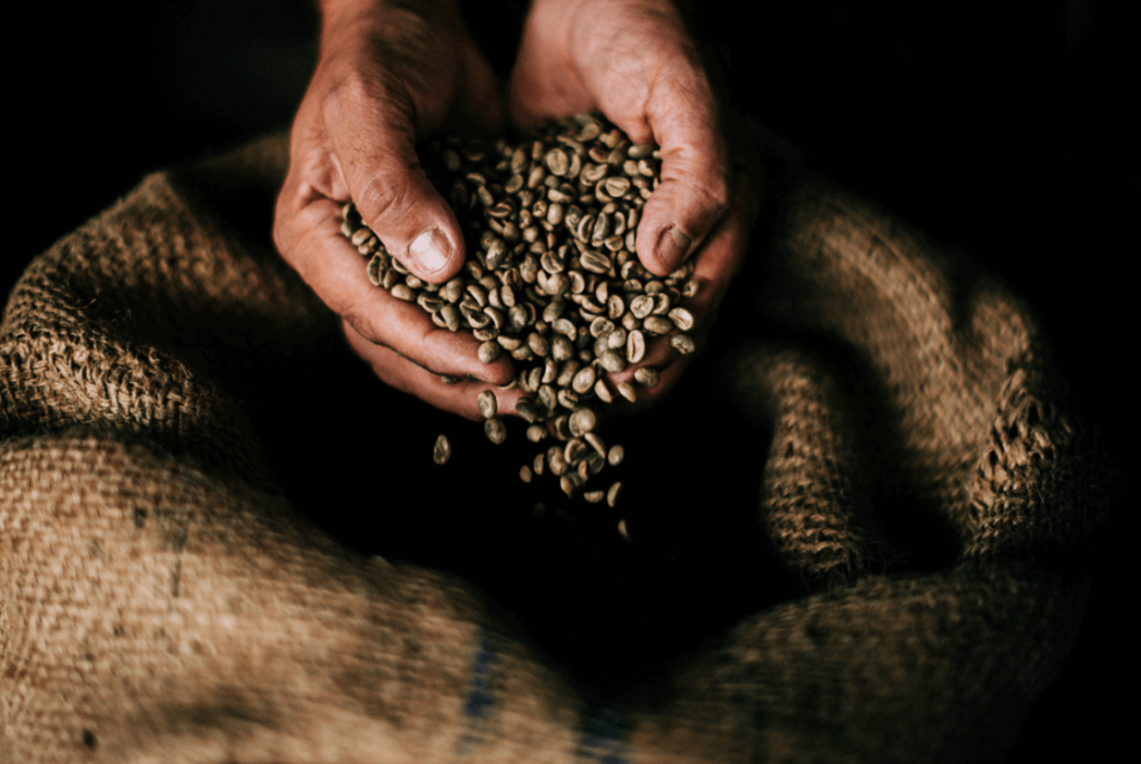 Kanzi Kaffee, Bester Kaffee, Kaffee