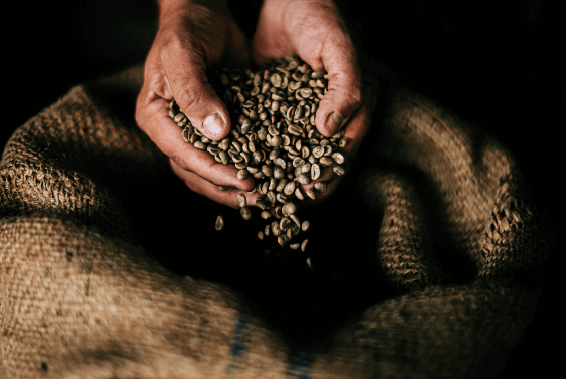 Kanzi Kaffee, Bester Kaffee, Kaffee